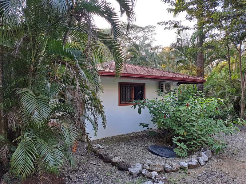Casas Jungle: Charming Rental Compound with 5 units & pool in the heart of nature, minutes from Samara’s beaches - photo 19