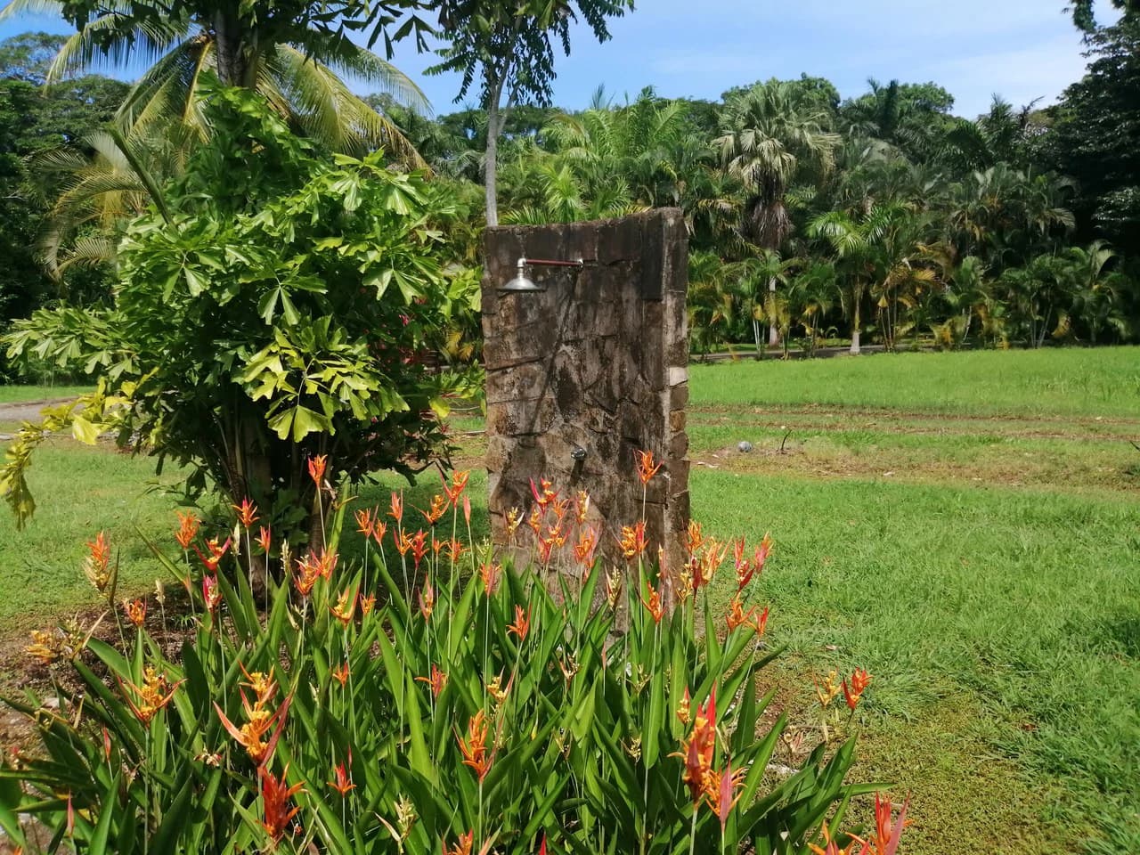 Amazing Home on Huge Lot Near the Beach - photo 47