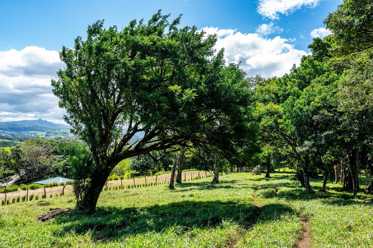LA CABAÑA - 13+ ACRES & a TINY HOUSE & outstanding VIEWS - REDUCED PRICE - SELLER MOTIVATED - photo 33