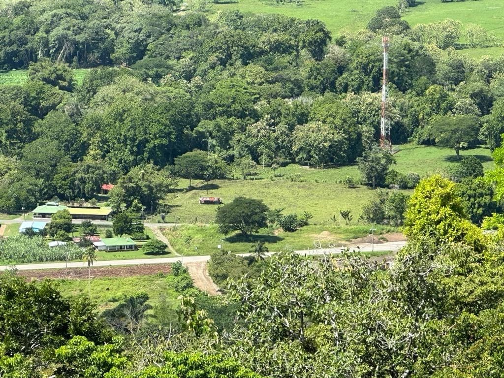 Exceptional Development Opportunity in Puerto Cortes, Osa - photo 2