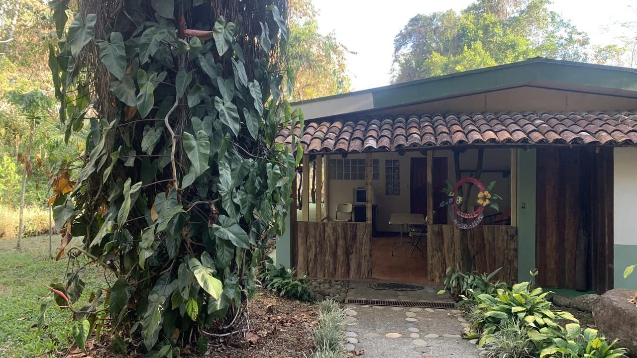 Talari Hotel: Nature and Bird Lover's Paradise - Mountain Lodge - photo 13
