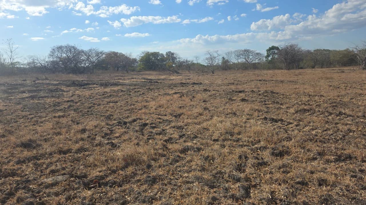 Huge Commercial Property Near Liberia Airport, Guanacaste, Costa Rica - photo 7