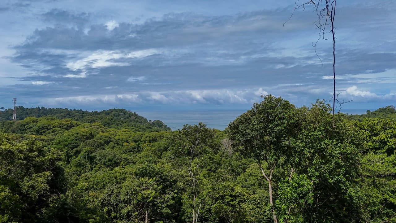 Spectacular Ocean view on 7.7 acres: Mountain Home Construction Site For Sale in Bahía Ballena - photo 4