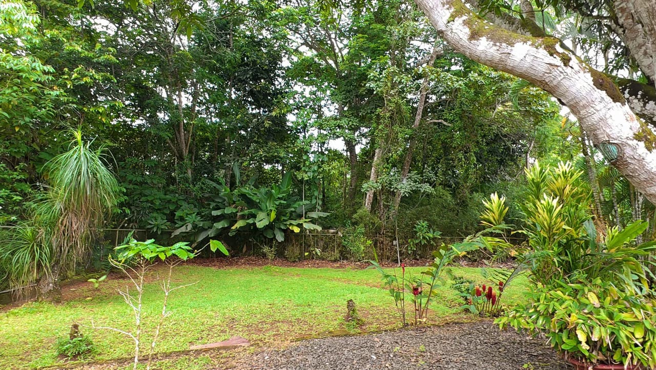 HOUSE FOR SALE, LOCATED IN THE CENTER OF PEREZ ZELEDON: Elegant and spacious turnkey house for sale in the center of Perez Zeledon - photo 4