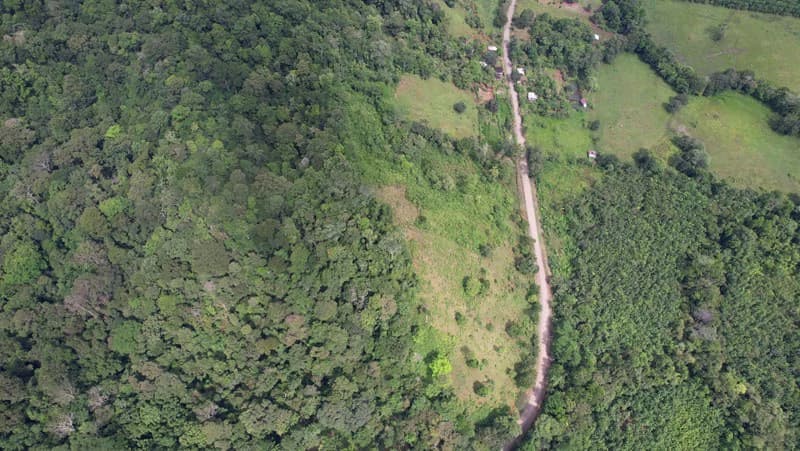 Ocean View & Primary forest 55-ha Rincon de Osa - photo 4