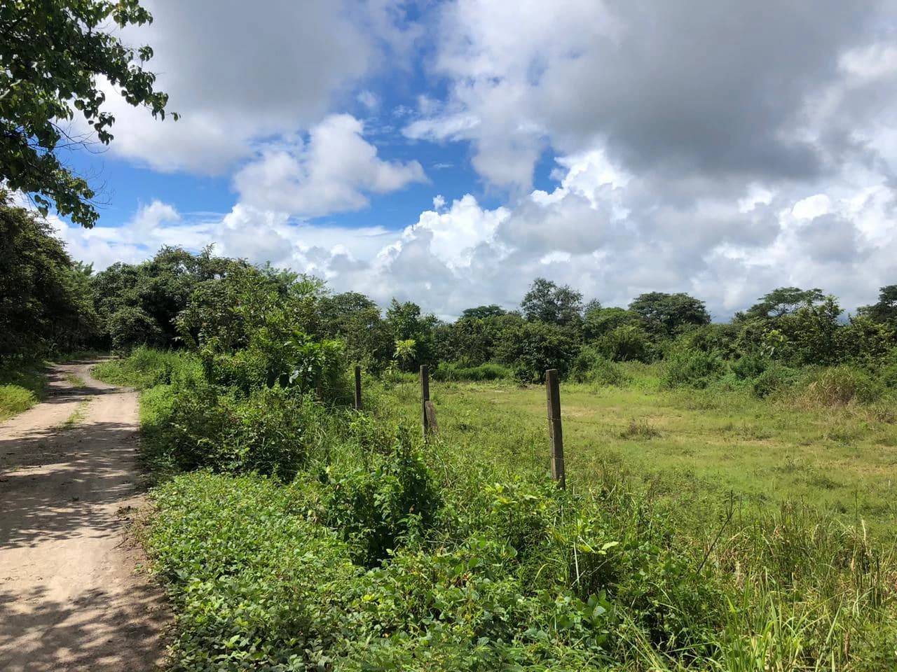 Development property for sale, Building project opportunity close to Liberia Airport and City with beautiful Flat property - photo 3