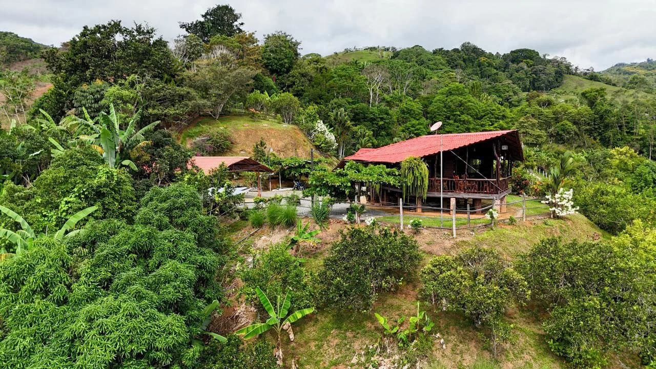 Charming Hardwood Cabin with Fruit Garden Near San Isidro - photo 4