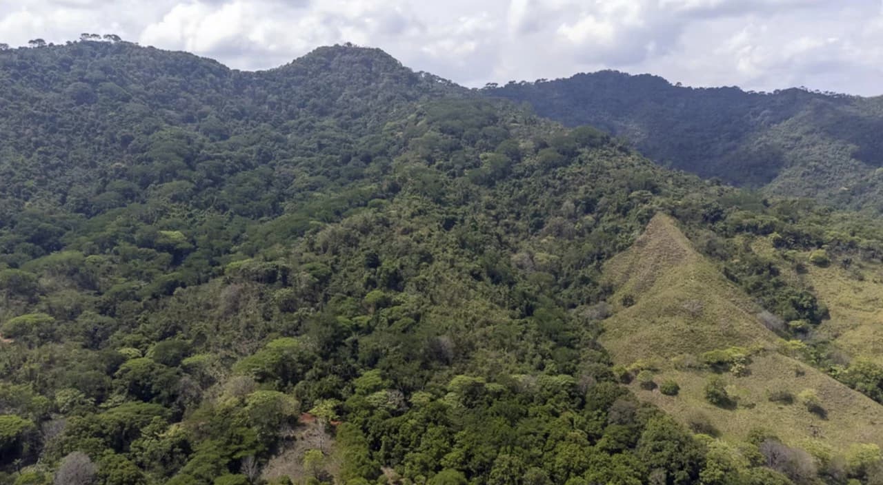 Farm for sale in Puntarenas Lepanto Costa Rica - photo 9