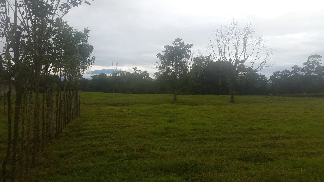 Countryside Development Parcel For Sale in Cariari - photo 10