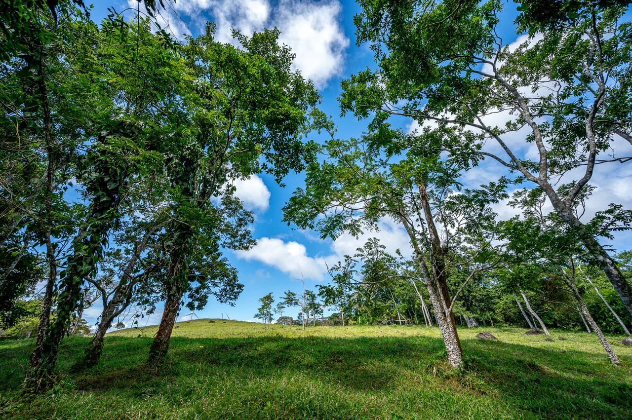 LA CABAÑA - 13+ ACRES & a TINY HOUSE & outstanding VIEWS - REDUCED PRICE - SELLER MOTIVATED - photo 39