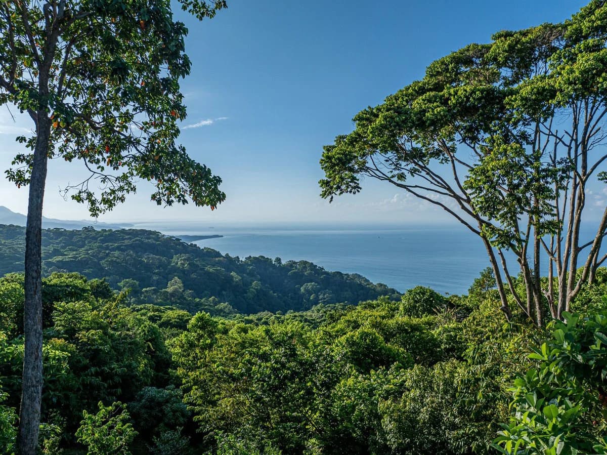 2 ACRES – 2 Bedroom Whales Tale Ocean View Home In Costa Verde Estates Gated Community!!!: 79 ACRES – Amazing Farm On Ridge Top With Whale’s Tail Ocean View And 800 Exotic Tropical Fruit Trees!!!!! - photo 50