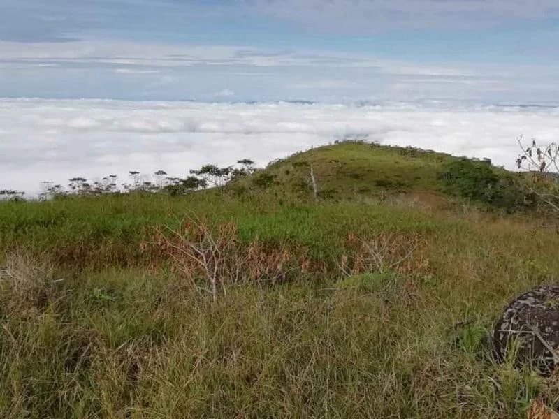 Amazing Self-sufficient 315 Acre Farm
