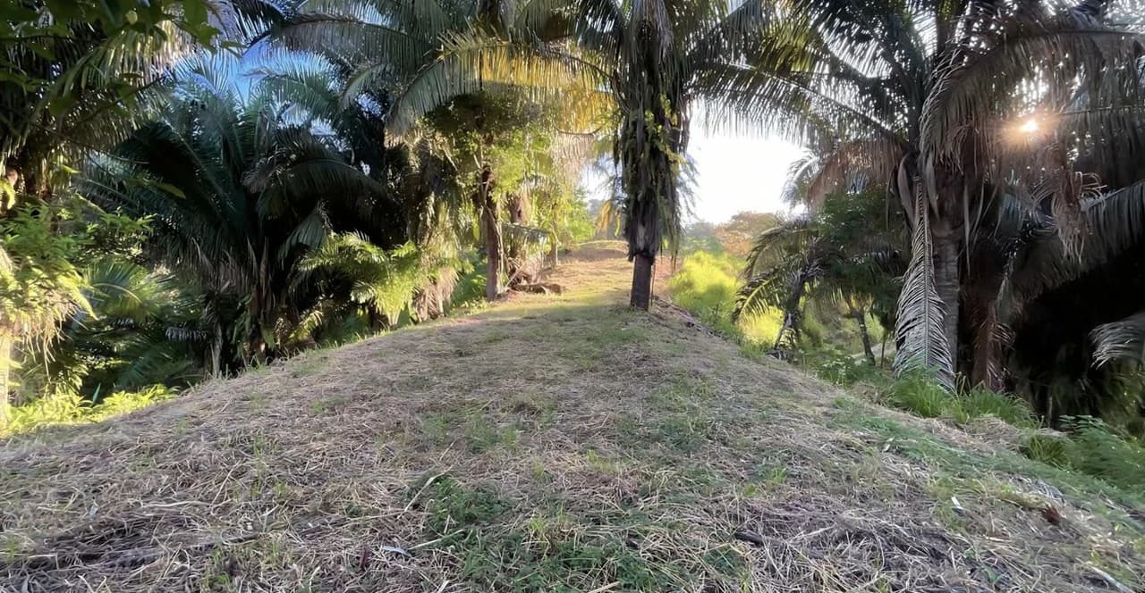Exclusive Hermosa 1.2 Acre Lot with Panoramic Mountains and Ocean View. - photo 14