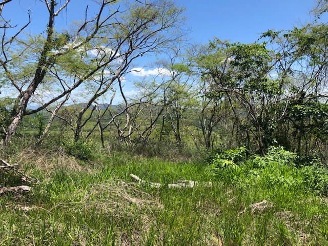 Amazing 50% discount for Huge ocean-view farm for sale surrounded by soft rolling hills and pristine nature - photo 7