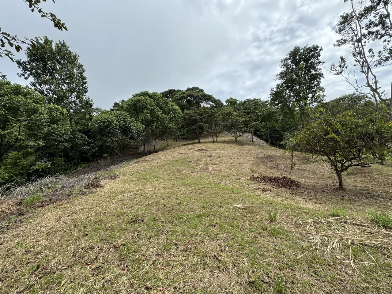 Diamante Waterfall View Land in Dominical 2.9 Acres - photo 3