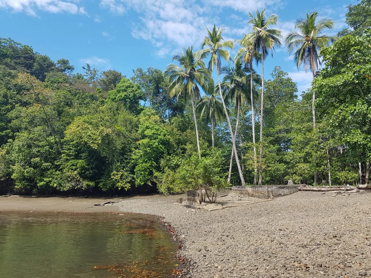 Nature Lover's Marina Resort Investment: Costa Rica South-Pacific Gulf Coast Marina, Rainforest Resort - photo 2