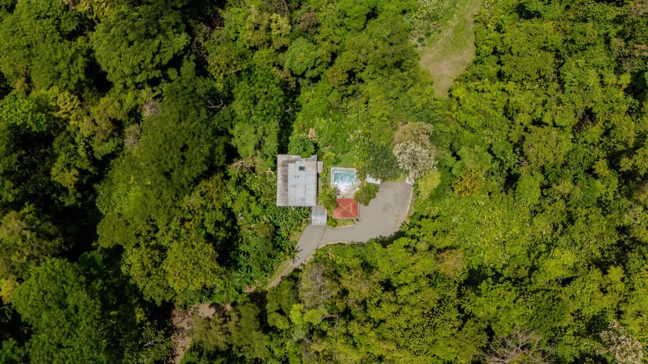 Casa La Roca, Whale's Tail 3 Bedroom Home In Uvita!: Mountain House For Sale in Uvita - photo 11
