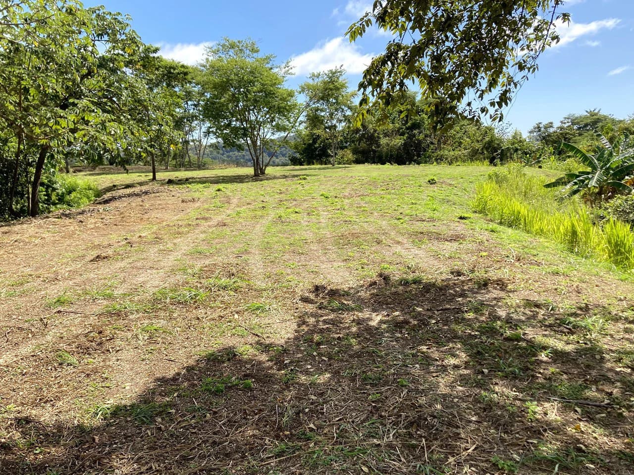 Large Oceanview Lot With Platform Close to Samara - photo 5
