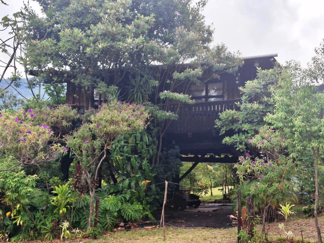 Mountaintop Canvas!: 31,000m2 - Entrepreneur's Dream Property! - photo 5