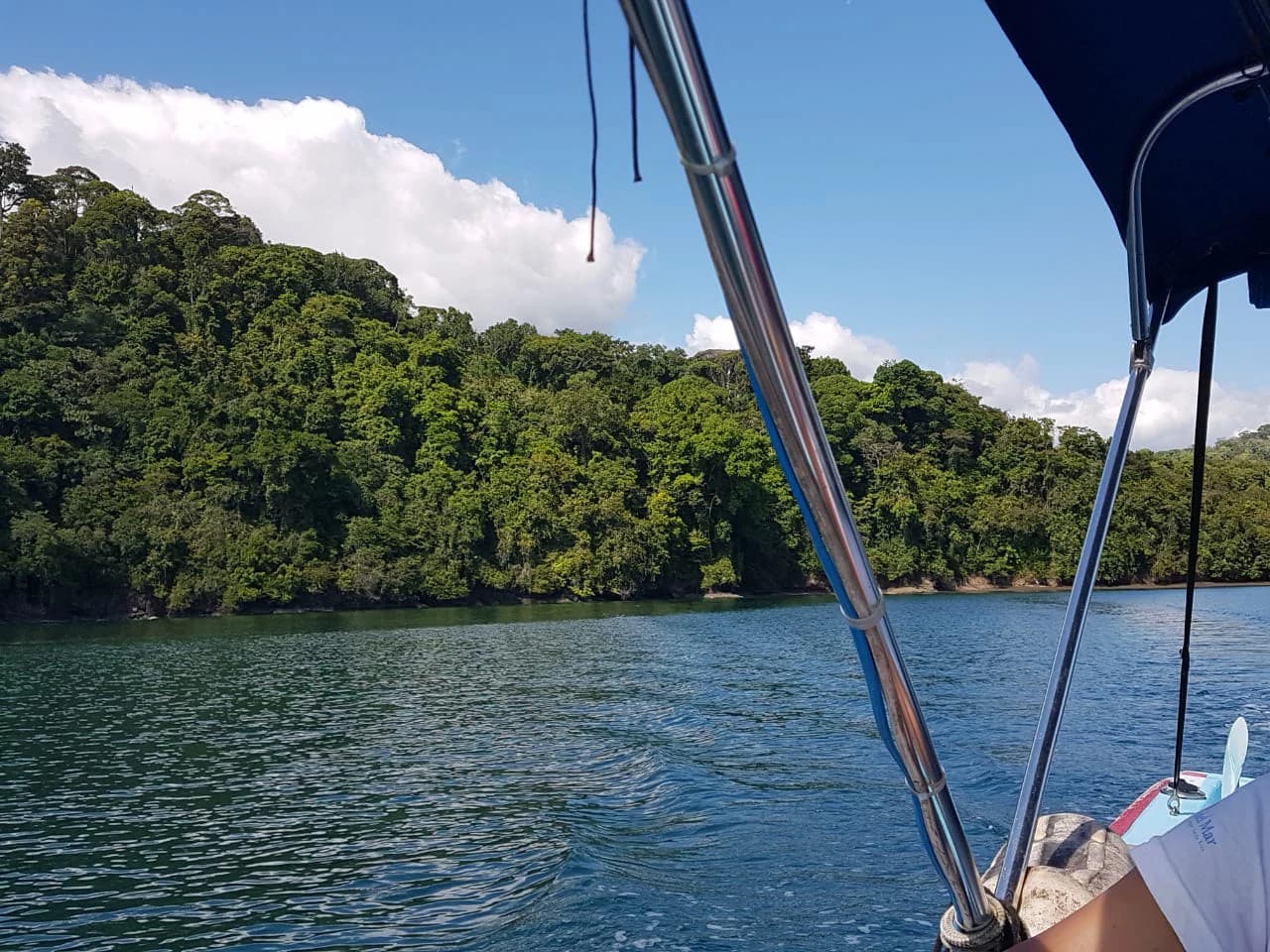 Nature Lover's Marina Resort Investment: Costa Rica South-Pacific Gulf Coast Marina, Rainforest Resort - photo 4