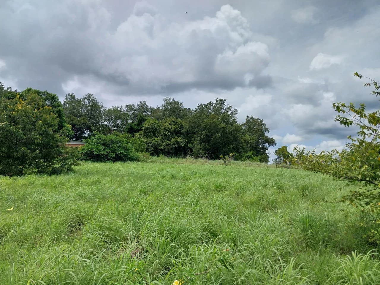 T-182: Volcano view and lot for Sale in Liberia - photo 7