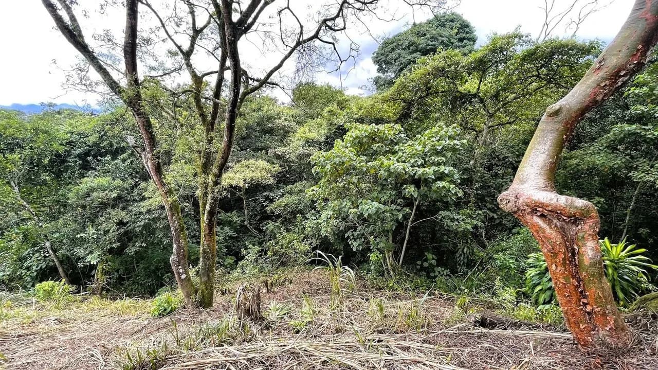 LAND FOR SALE IN SAN MIGUEL, NARANJO - photo 12