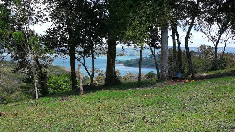 WATERVIEW PARADISE - Lake View Building Lot - photo 4