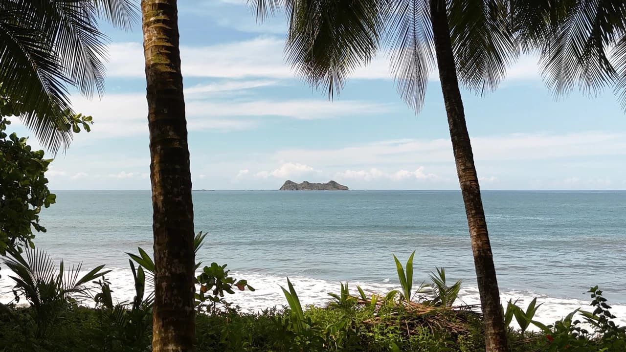 Dream Beachfront Property at Ballena Beach in Uvita, Costa Rica - photo 25