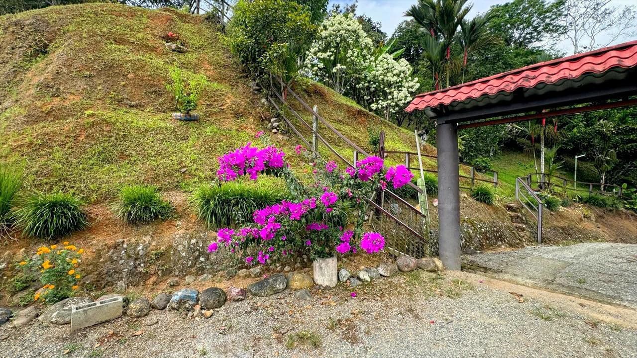Charming Hardwood Cabin with Fruit Garden Near San Isidro - photo 7