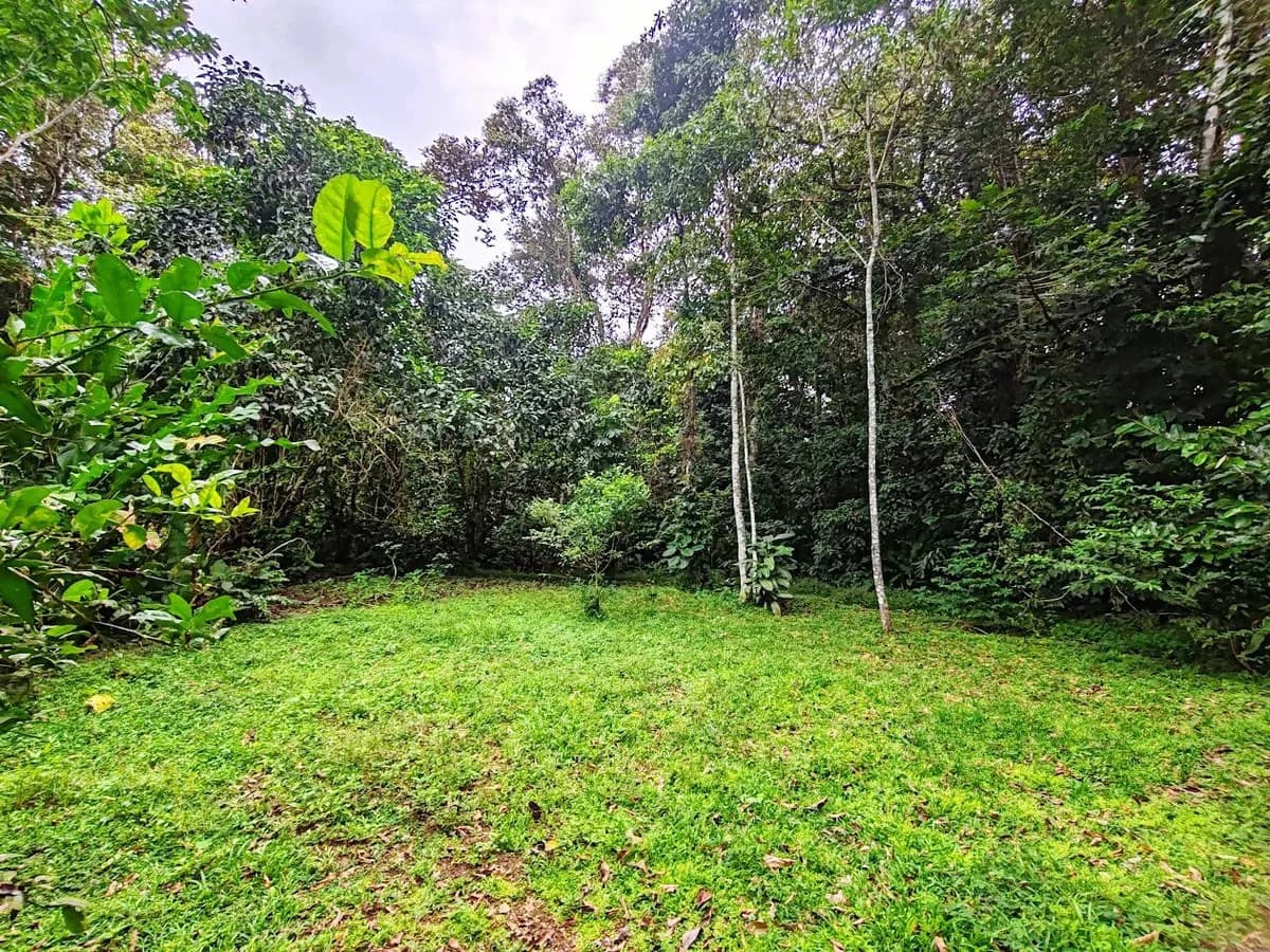 ID 651: Titled Building Lot near Punta Uva Beach: 5875 sqm with Creek - photo 4