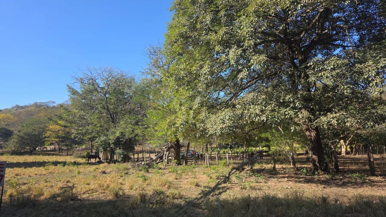 3 Commercial lots for sale in Artola with 70 m of public road frontage - photo 10