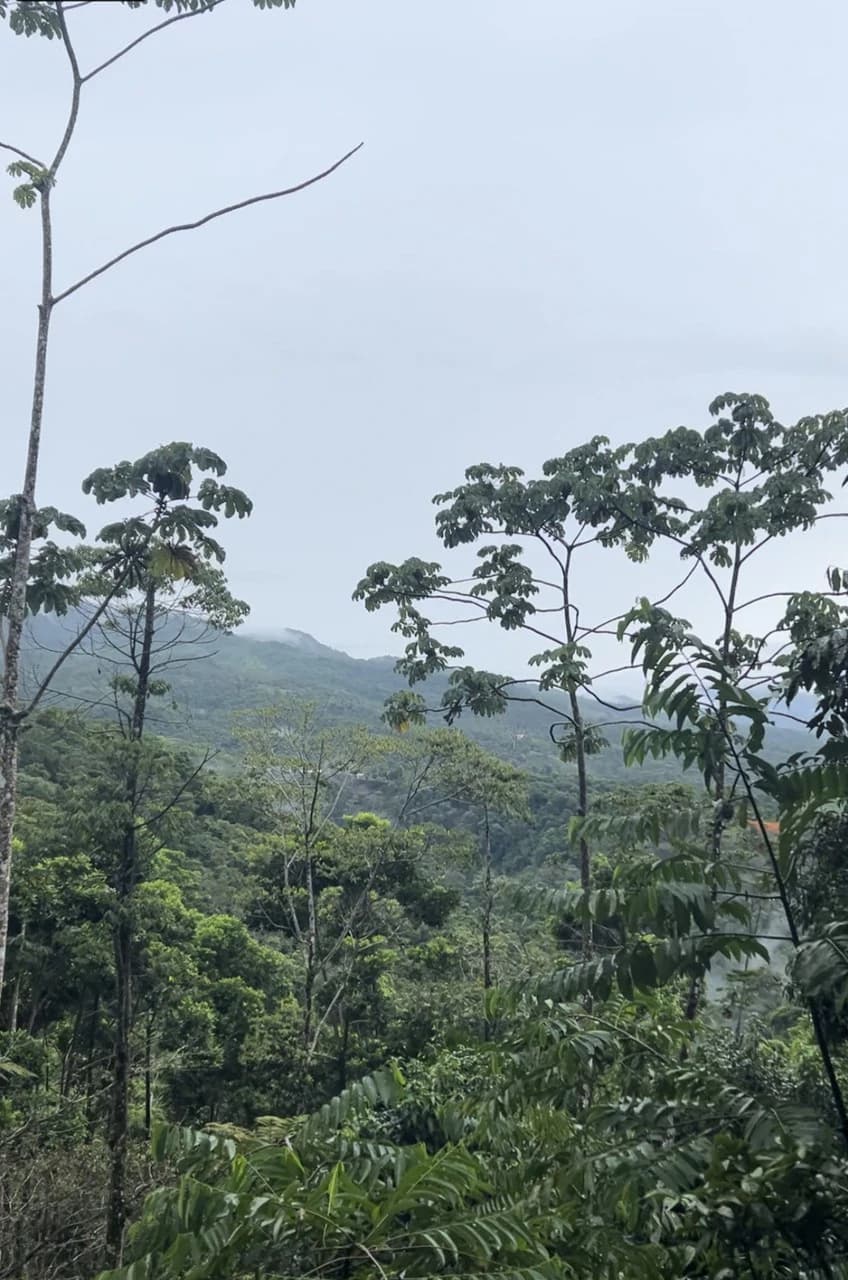 4.82 Acres Near La Fortuna, Costa Rica | Home + River + Vacation Rental Potential - photo 11