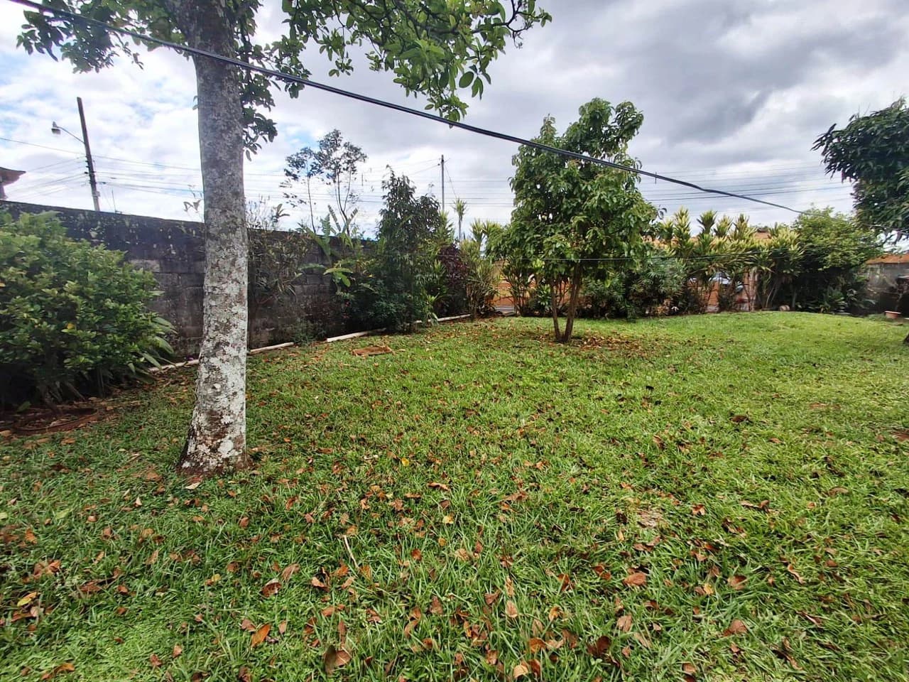Casa Convenience: Grecia Garden Home on Large Lot + Rental Apartment! - photo 20