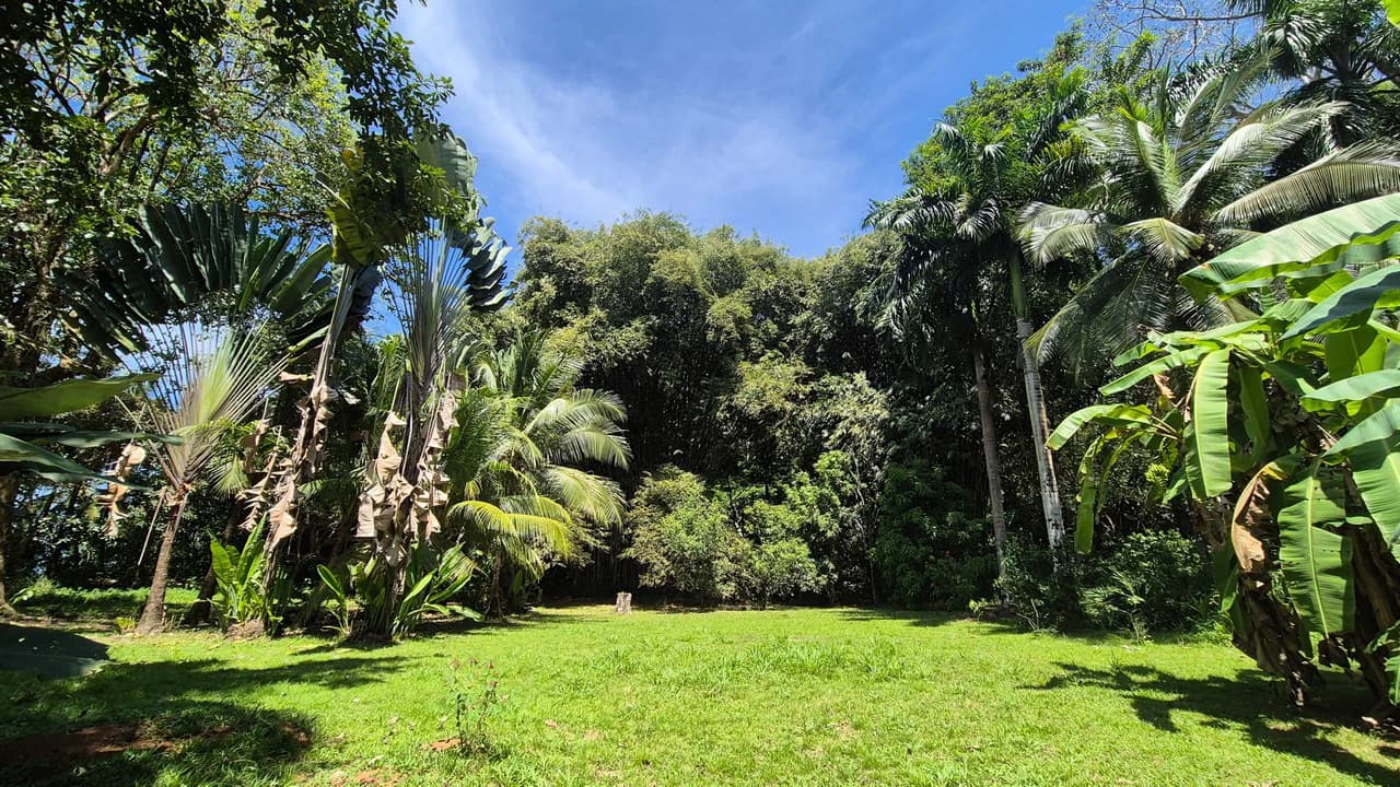 Dream Beachfront Property at Ballena Beach in Uvita, Costa Rica - photo 12