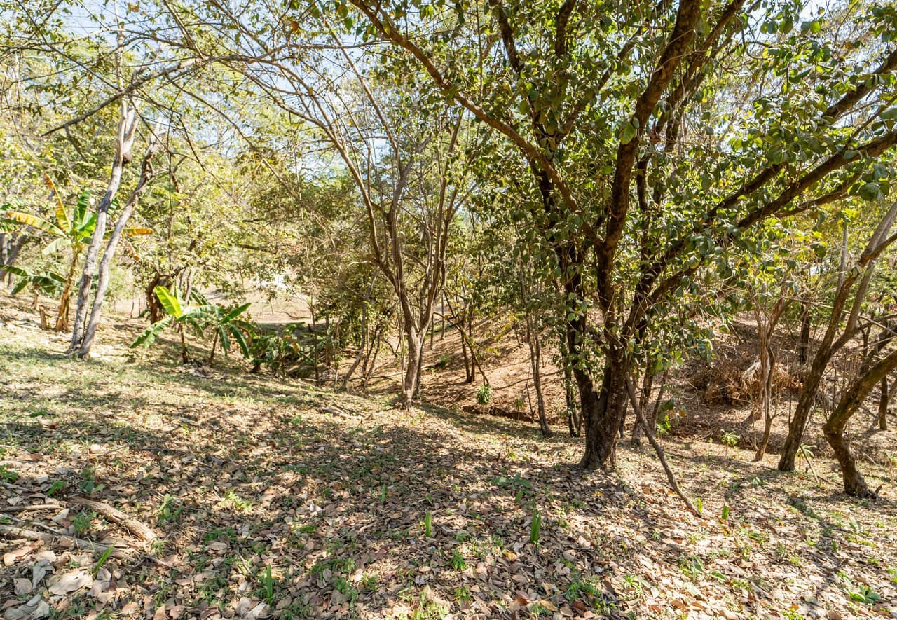 Lote Camaronal Natural: Half Acre Lot Just Mins to the Surf - photo 10