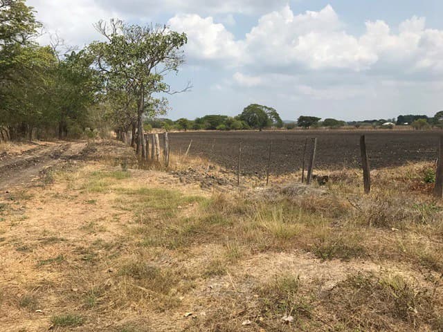 Great opportunity: Big property in Palmira de Carrillo - photo 10