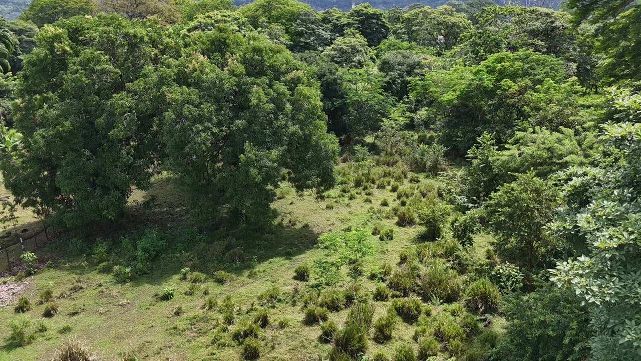 Walk to the beach, Developement Land, Mini Ranch, Central Uvita - photo 13