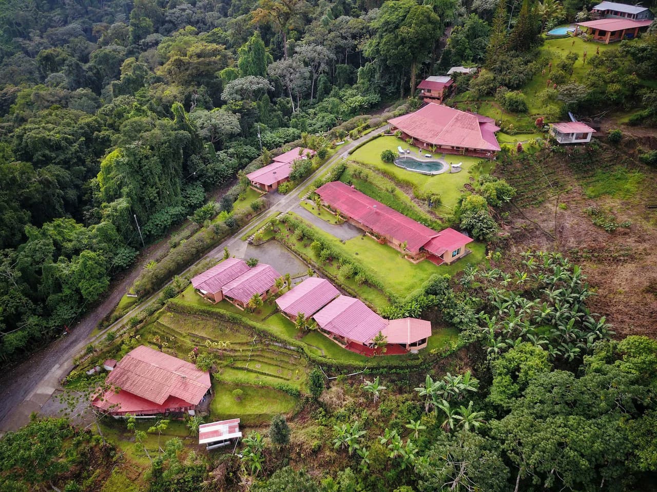 Nepenthe B&B: Hotel / B&B in the Rain Forest with spectacular views of Lake Arenal & Volcano. - photo 20