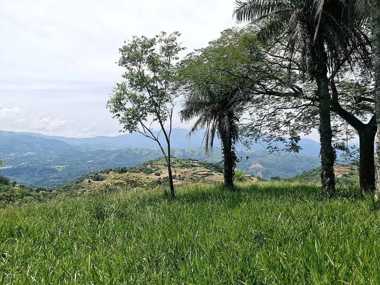 Near the Coast and Mountain Home Construction Site For Sale in Orotina y Caldera - photo 13