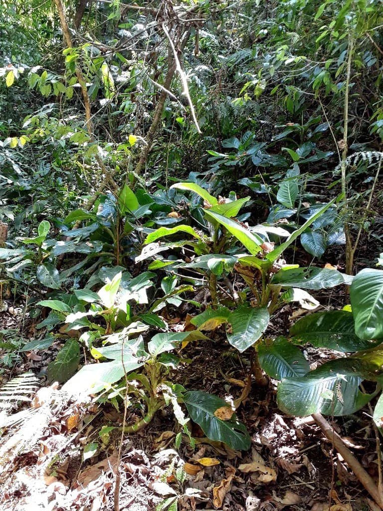SECLUDED PARADISE WITH STUNNING VIEWS, WATERFALLS & ABUNDANT WILDLIFE - photo 37