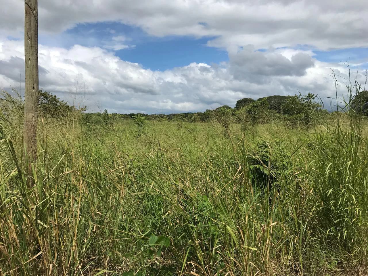 Property near Liberia and Discovery Park - photo 9