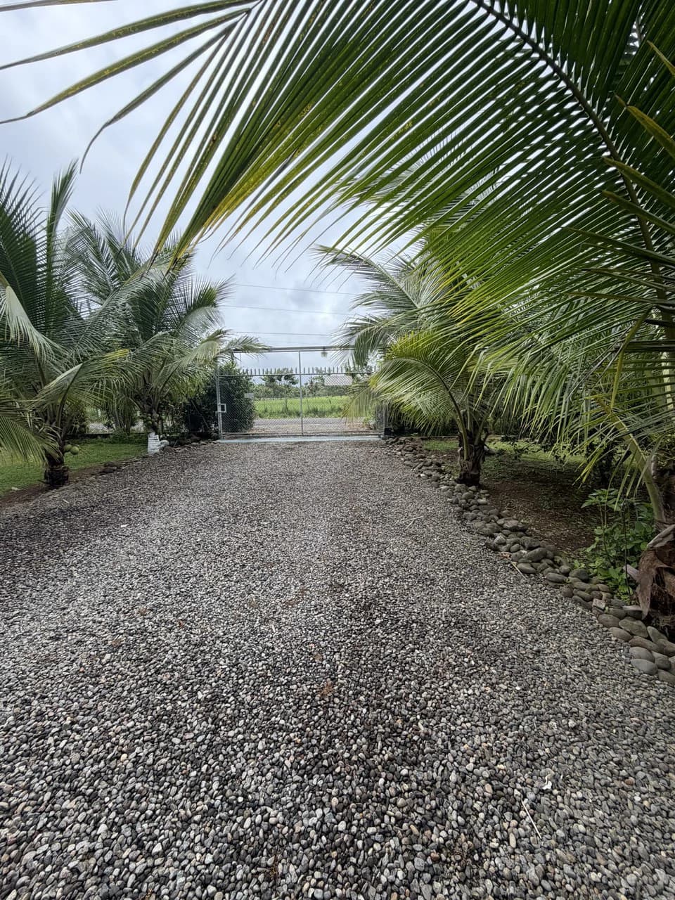 Country house with fruit trees for sales Upala Costa Rica - photo 13
