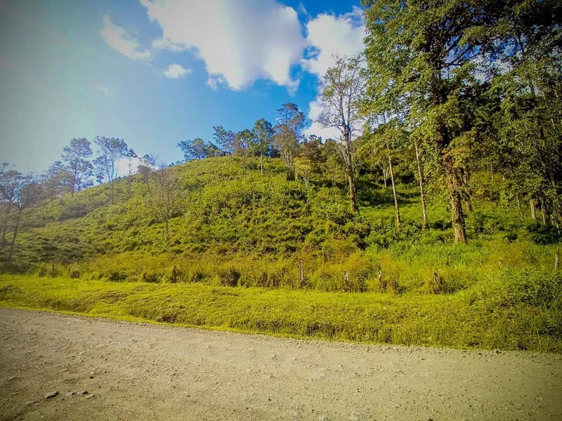 Ocean View & Primary forest 55-ha Rincon de Osa - photo 16
