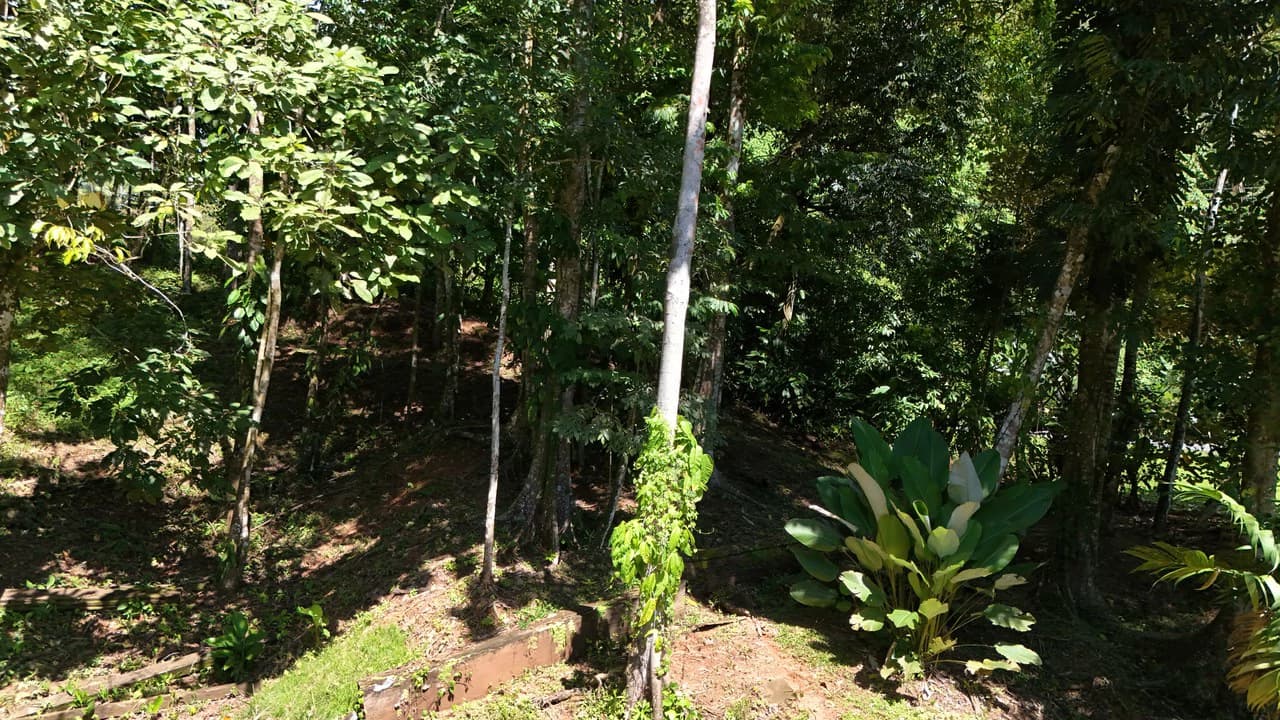 Private Beach Community | 1,708 m² Build-Ready Lot in Ballena - photo 9