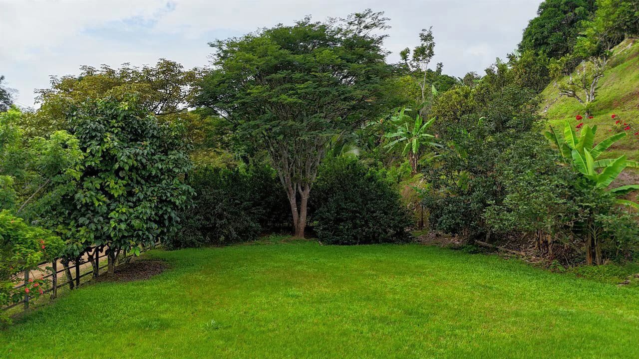 Charming Hardwood Cabin with Fruit Garden Near San Isidro - photo 59
