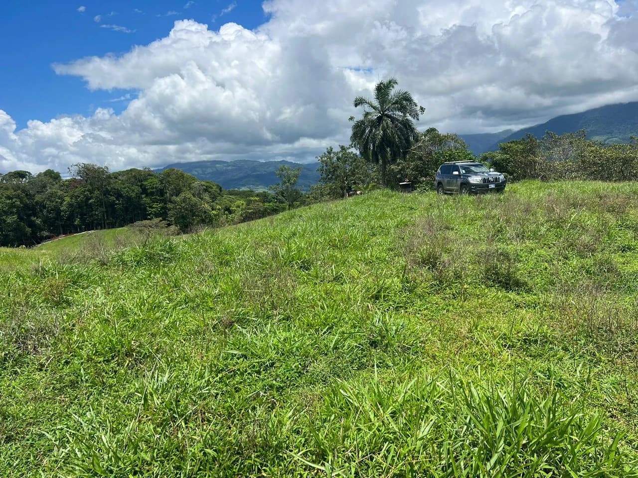 47 ACRES – Beautiful Mountain View Farm With Many Water Sources and Many Building Areas!!!! - photo 2