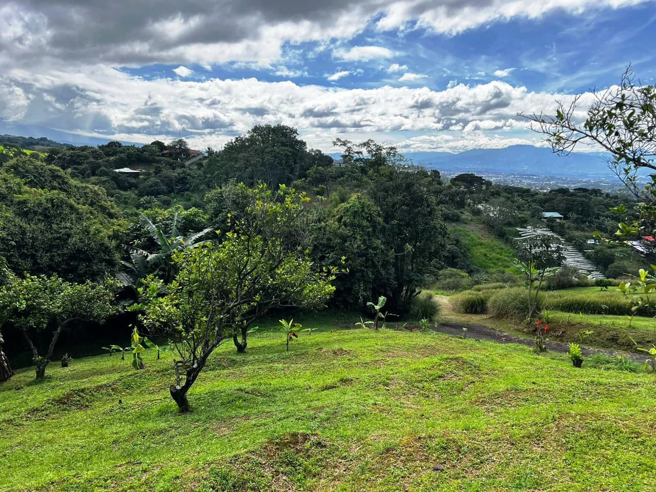 Hillside Wonder...: Premium City View Homesite Ready to build! - photo 6