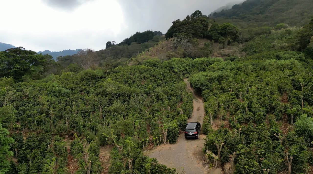 Copey Dota: Coffe farm for Sale in Copey de Dota