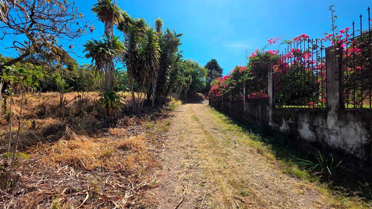 Lot for sale in Grecia, Costa Rica - photo 7