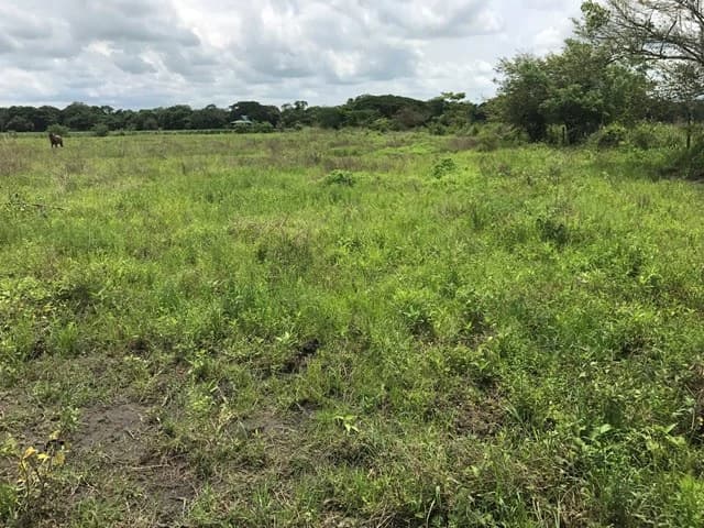 Commercial Development Land for Sale in Guanacaste, Costa Rica